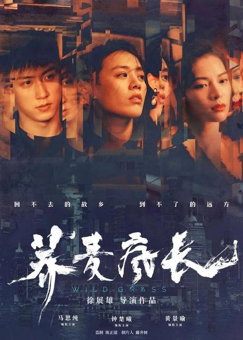 学历证书电子认证备案表怎么打印